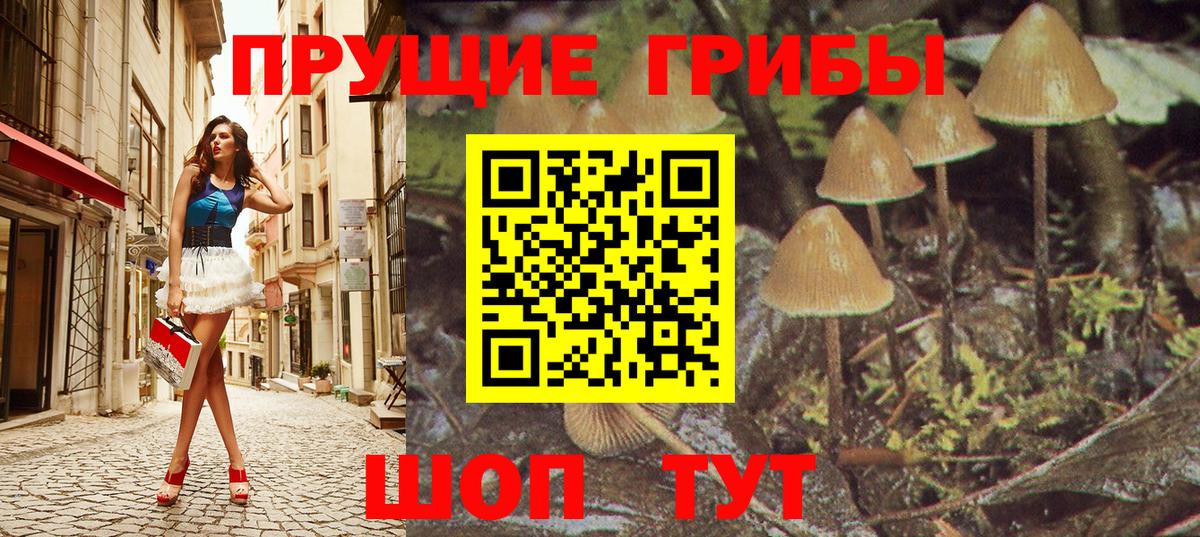 Псилоцибиновые грибы GOLDEN TEACHER  Вход с VPN  Рославль 